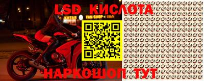 прущие крисы Будённовск