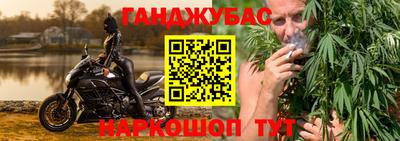 прущие крисы Будённовск
