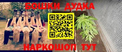 прущие крисы Будённовск