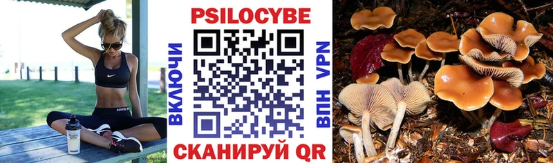 где найти   Новосибирск  Псилоцибиновые грибы Magic Shrooms 