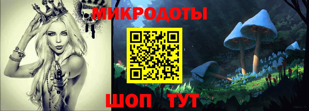 Новосибирск  Псилоцибиновые грибы прущие грибы  Вход с VPN 