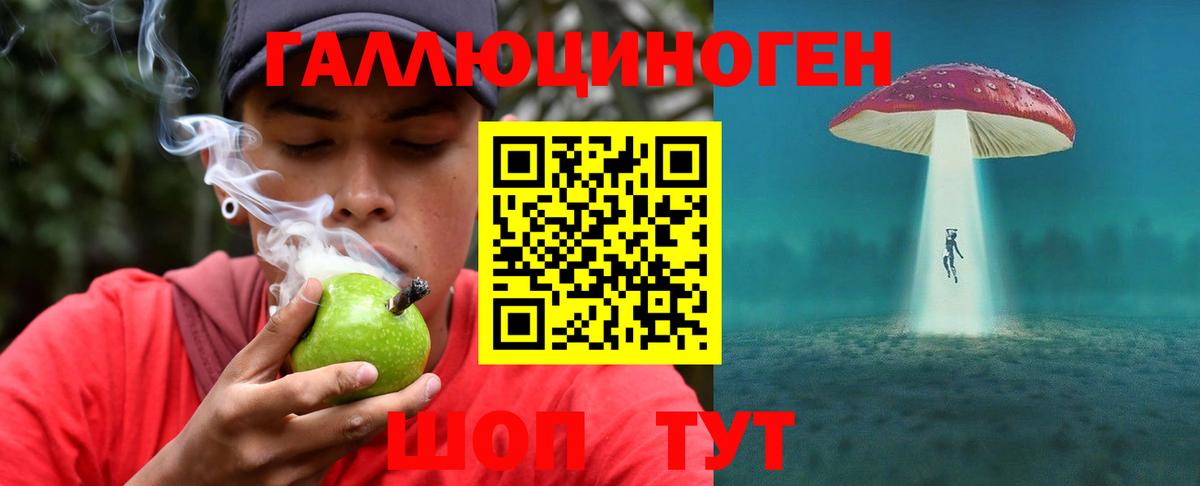 Псилоцибиновые грибы MAGIC MUSHROOMS Новосибирск